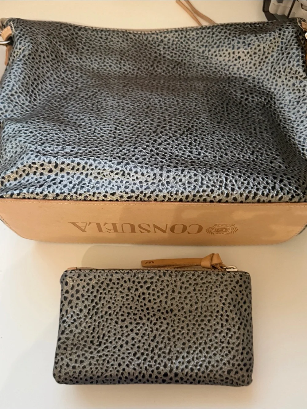 Consuela Wesley Silver and Black Pebbled Leather Hobo Bag